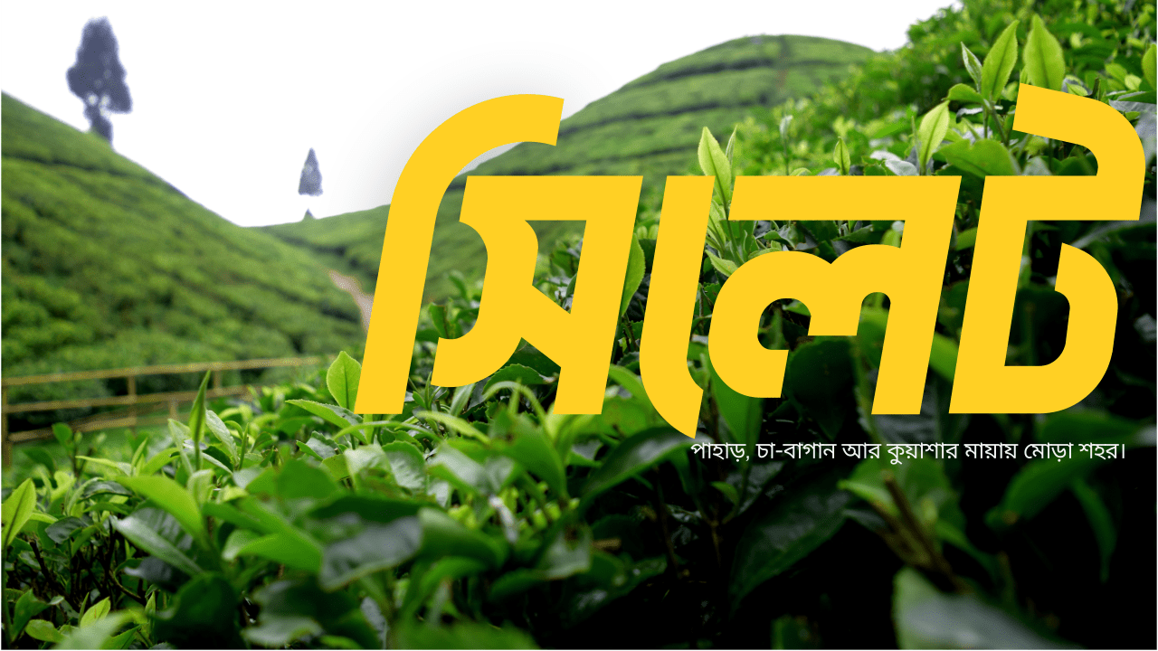 সিলেট: চা‑বাগান, পাহাড় আর প্রাকৃতিক সৌন্দর্যের শহর